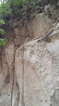 狂暴山野,探寻原始自然的狂野魅力