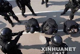 黑豹特警队,铁血精英，守护和平的钢铁长城