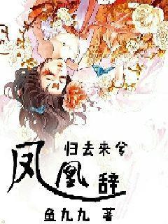 凤凰辞,探寻古代神话中的传奇与智慧