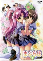 爱的魔法,编织心灵奇遇之旅